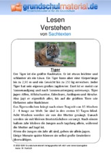 Tiger - Sachtext.pdf